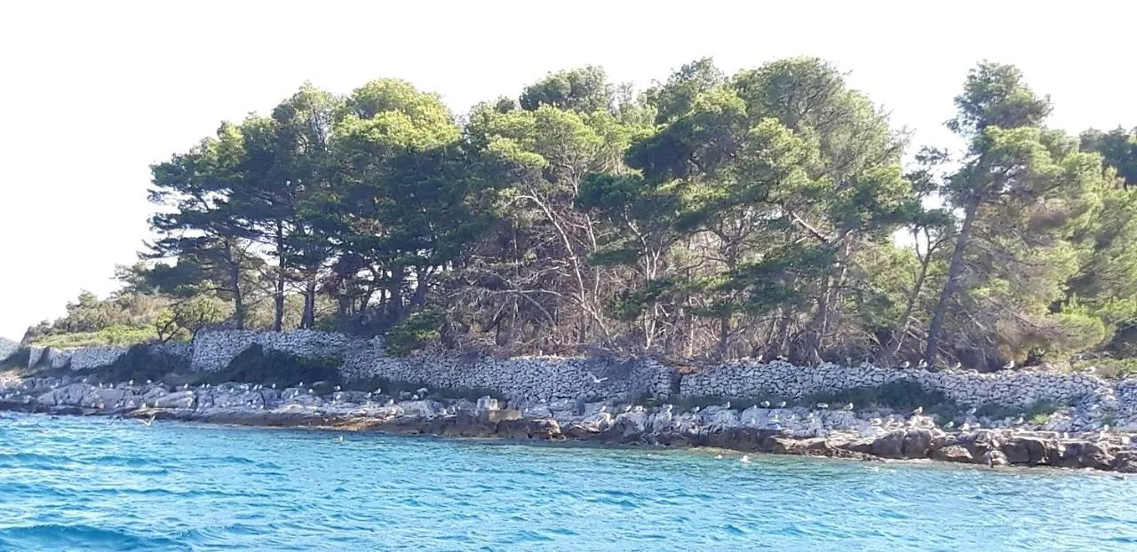 Apartmán Apartman Bella Vista Veli Iž